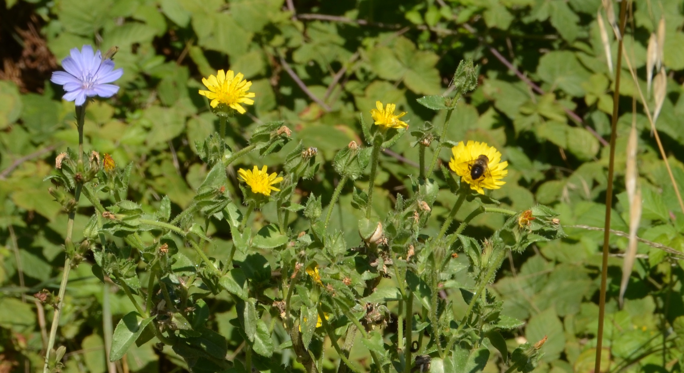 No s'ha trobat l'arxiu